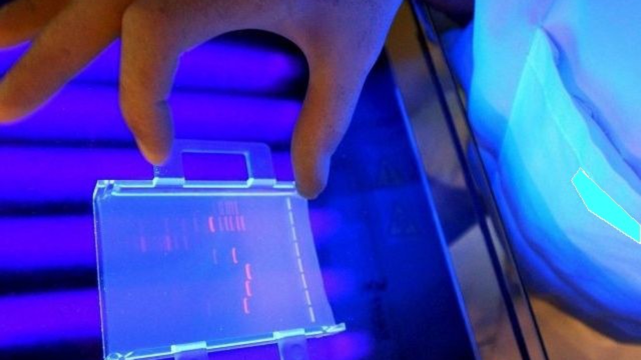 ADN muestra para investigación detectives